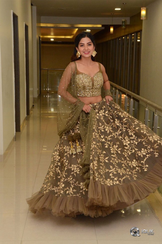 Kashmira-at-Nartanasala-Pre-Release-Event